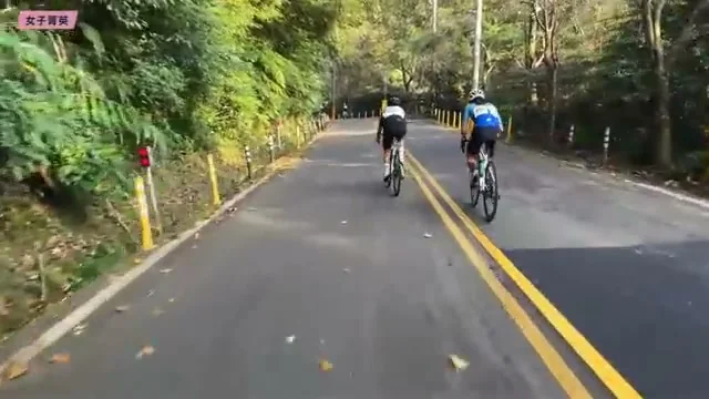 兩位自行車騎士在林間山路騎行的直播畫面